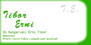 tibor erni business card